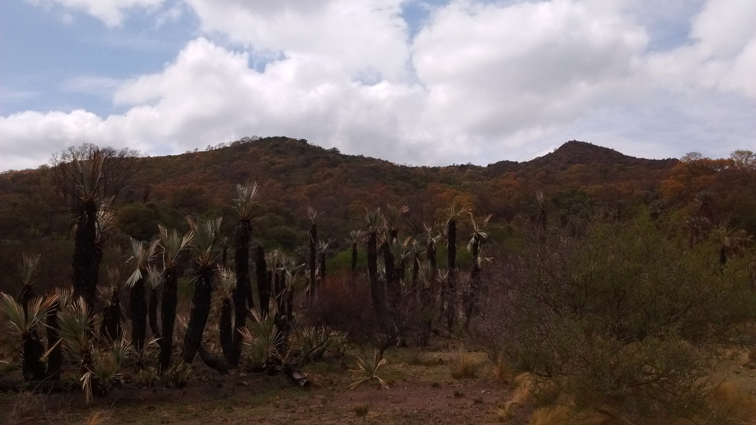 El interés turístico en Pocho ha crecido recientemente, especialmente entre quienes buscan destinos poco comunes y de valor natural.