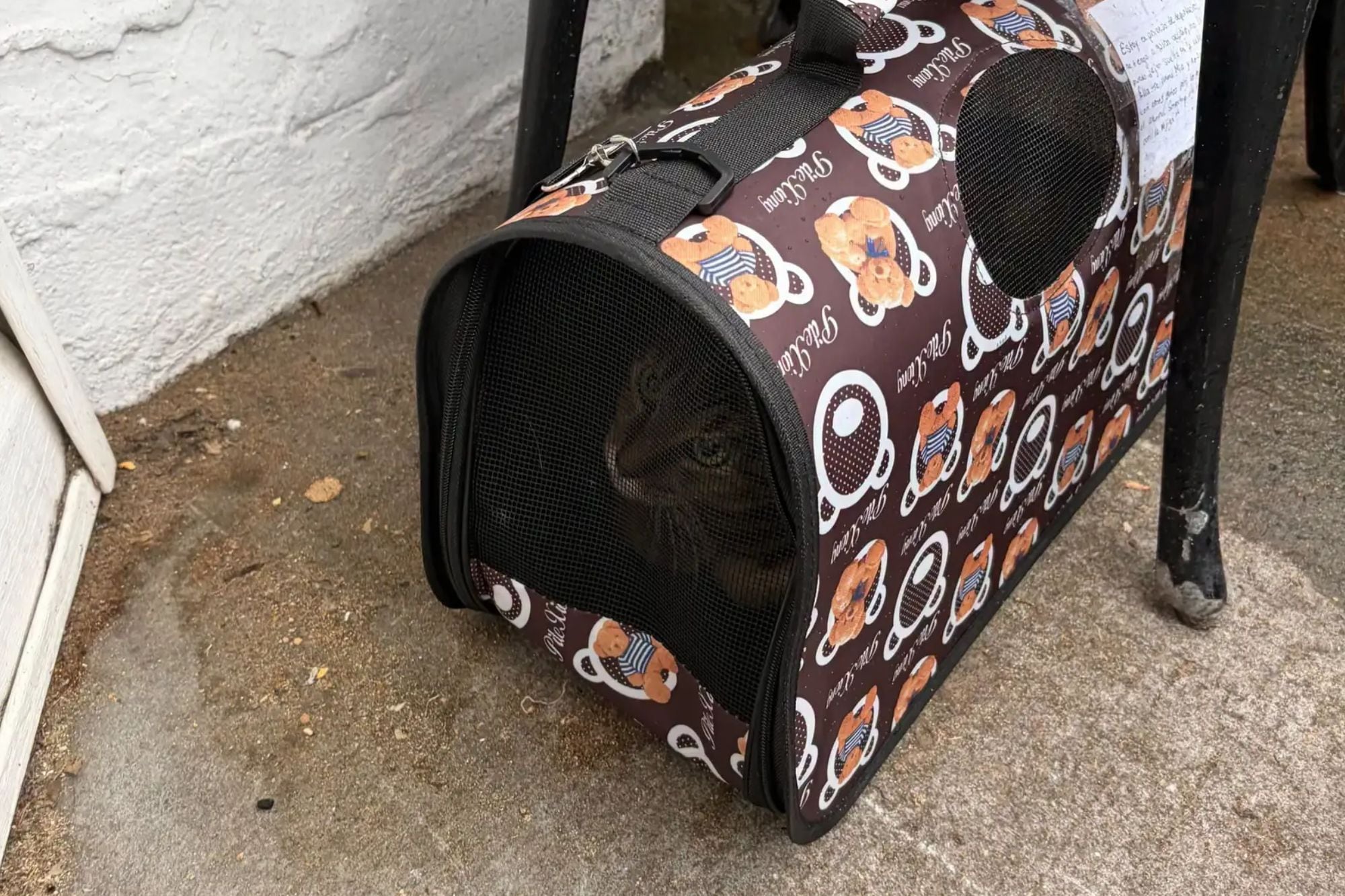 Mia fue encontrada en la puerta de un refugio de Queens, Nueva York (Foto: Facebook / Puppykittynycity)