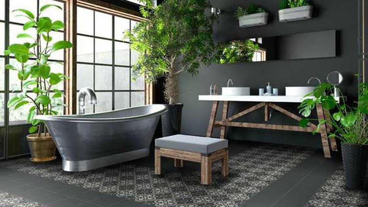 Las plantas que no debés poner en el baño si no tenés ventanas ni luz natural