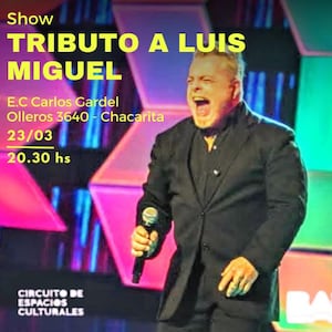 Tributo a Luis Miguel