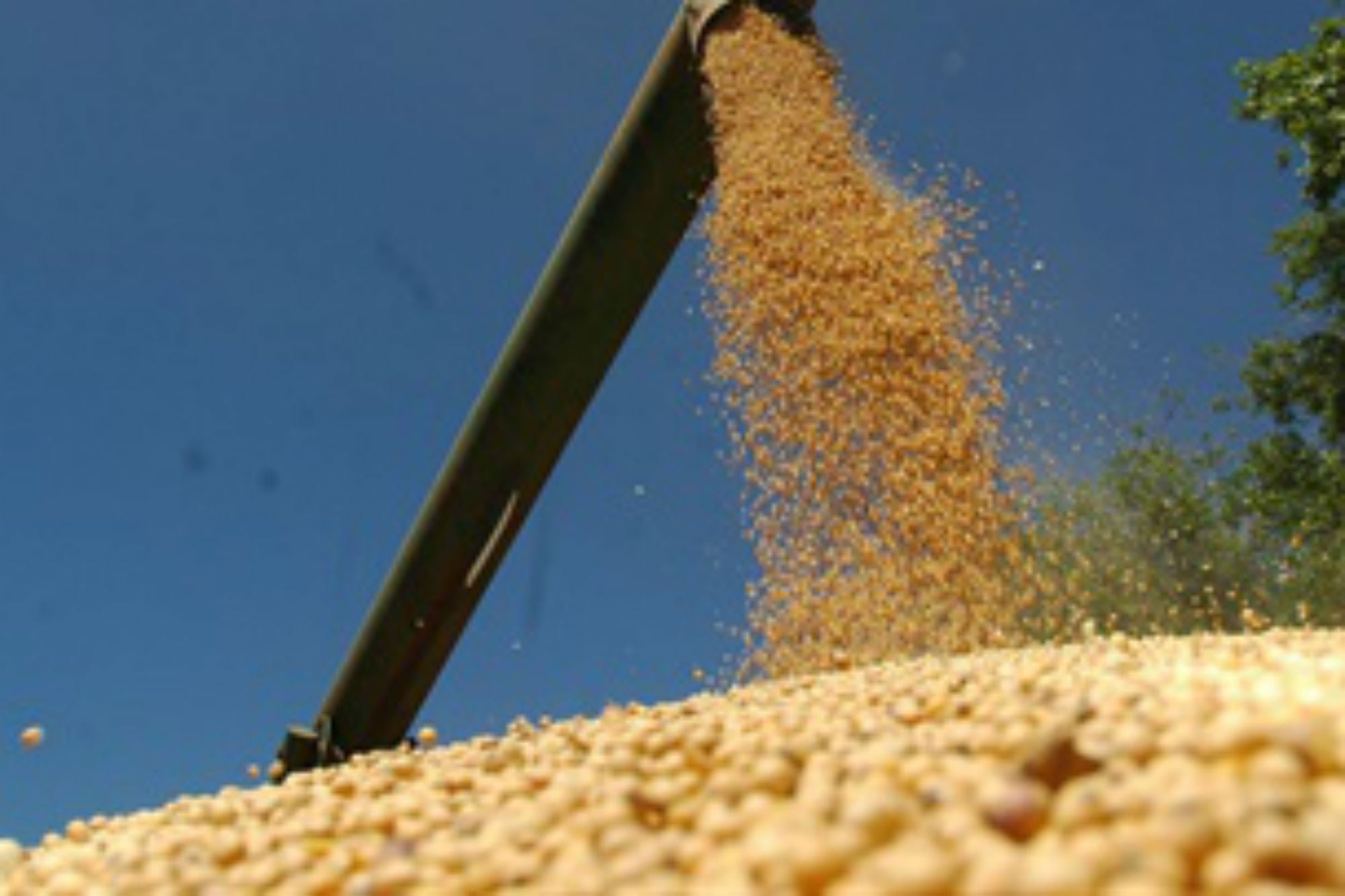 La guerra en Medio Oriente sacude al agro: volatilidad en la soja y disparada de más de US$200 en la urea