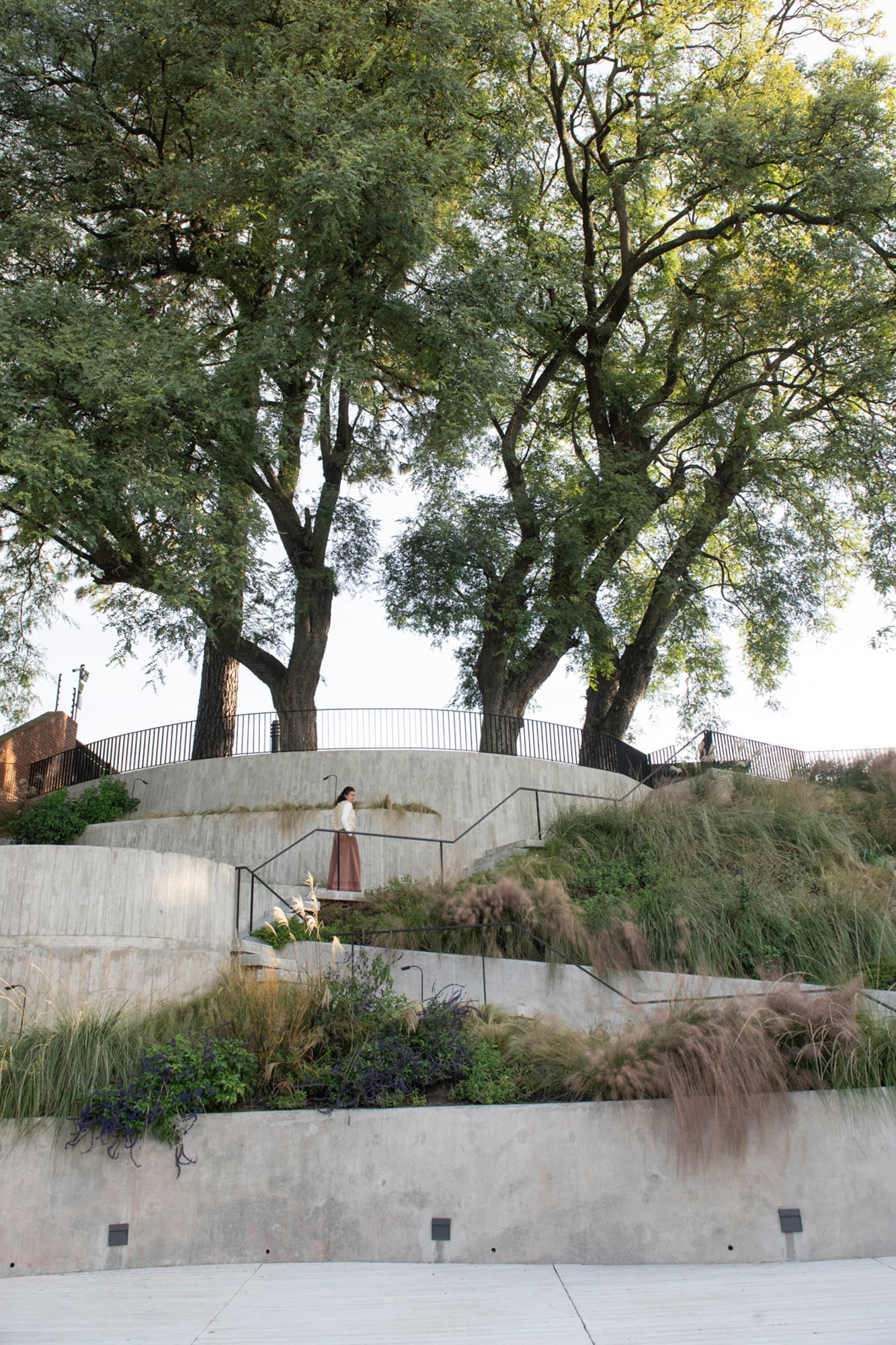 Las terrazas construyen una arquitectura verde que organiza el espacio