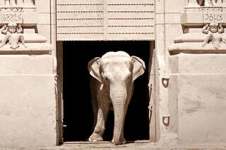 El largo adiós de los gigantes