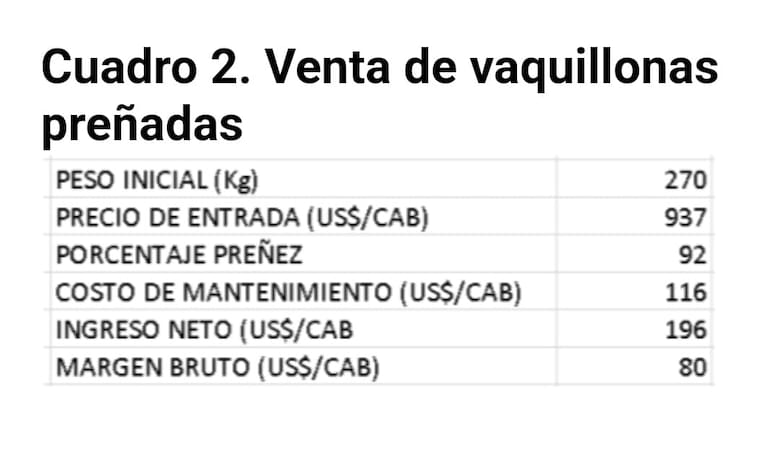 El mejor negocio con vaquillonas: opciones de venta para maximizar ingresos