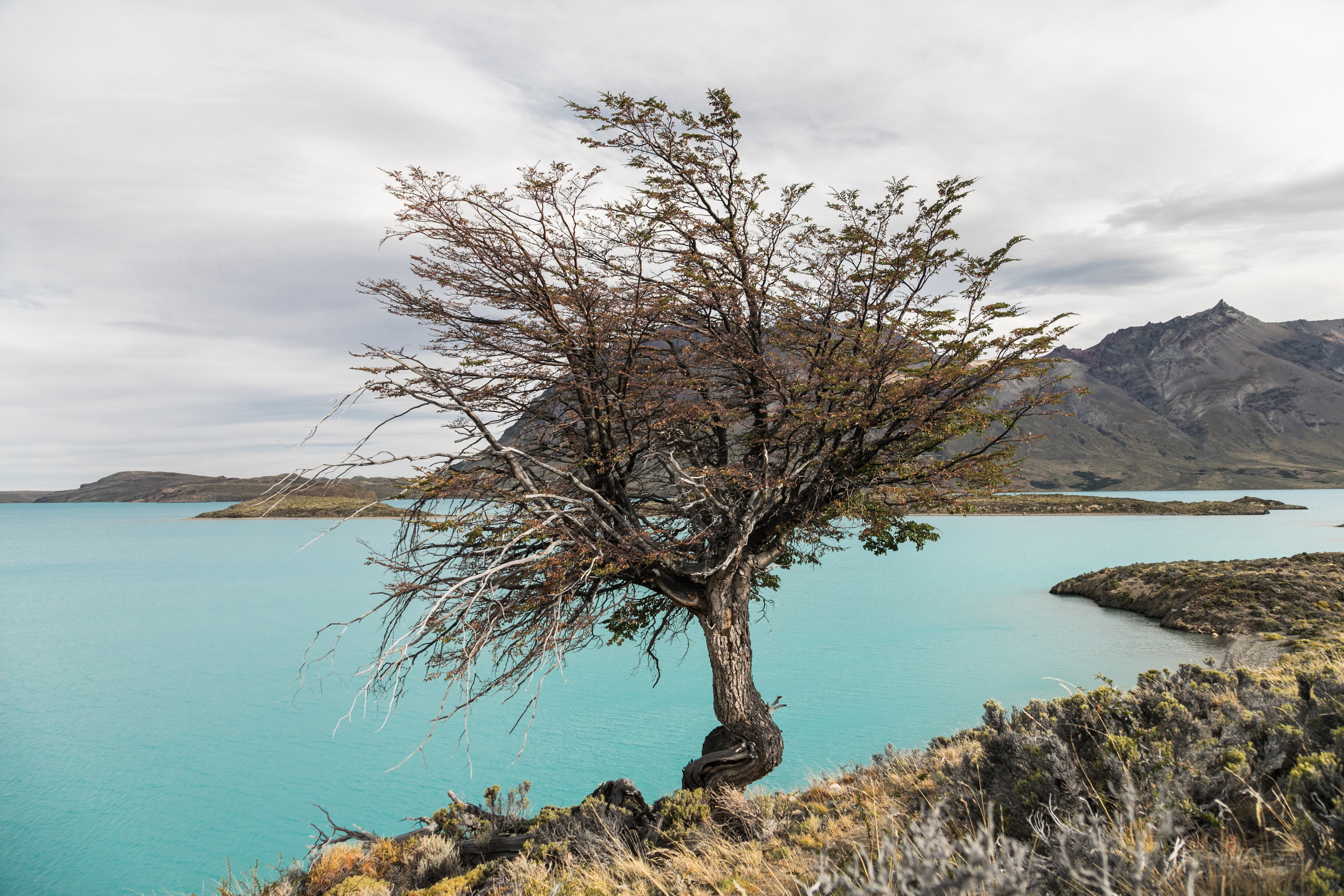 La Península, Perito Moreno