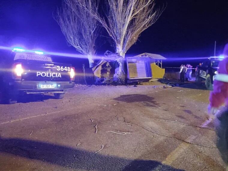 La camioneta estampada contra el árbol