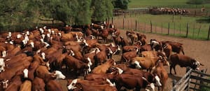 ¿Es realmente posible producir sin garrapatas?