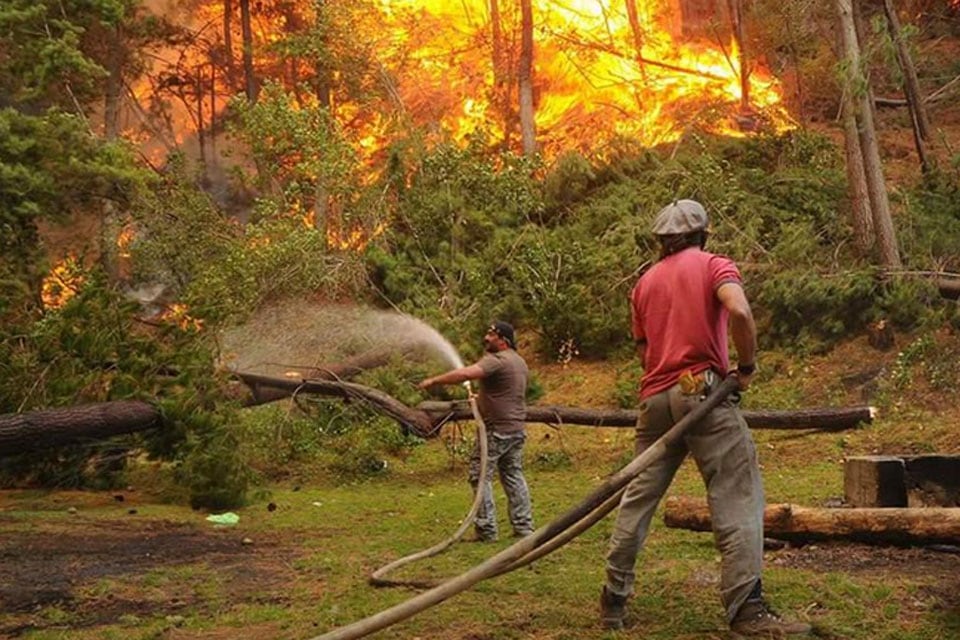 Tras los incendios en la Patagonia, proponen elevar hasta 10 años las penas por desmontes y delitos contra bosques nativos