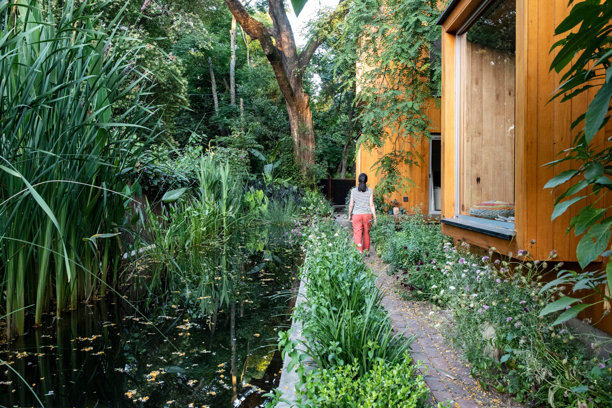 En el diseño de piletas sustentables, la vegetación cumple un rol estructural