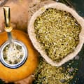 Muestran cómo se puede transformar yerba mate usada en biocombustible y bioplásticos