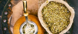 Muestran cómo se puede transformar yerba mate usada en biocombustible y bioplásticos