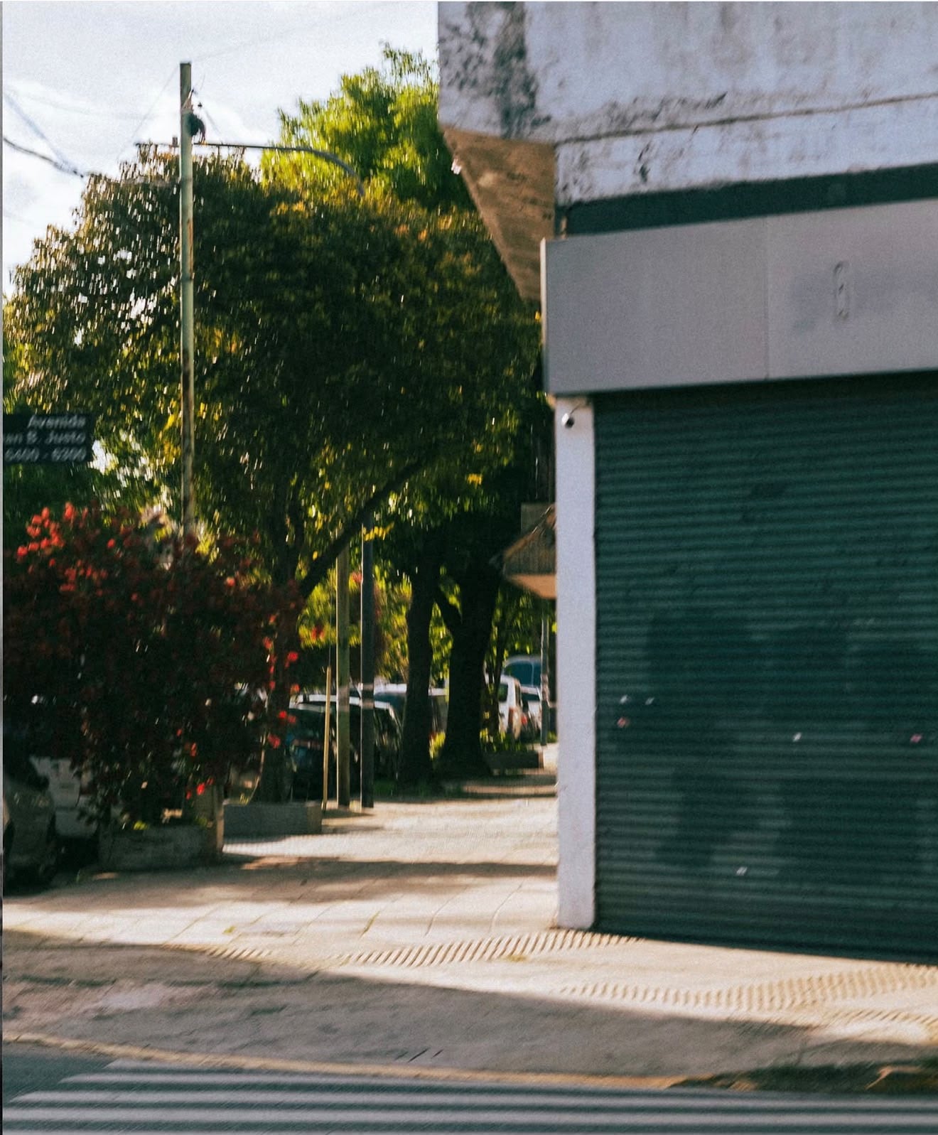 Jungkook fotografió las calles de Flores