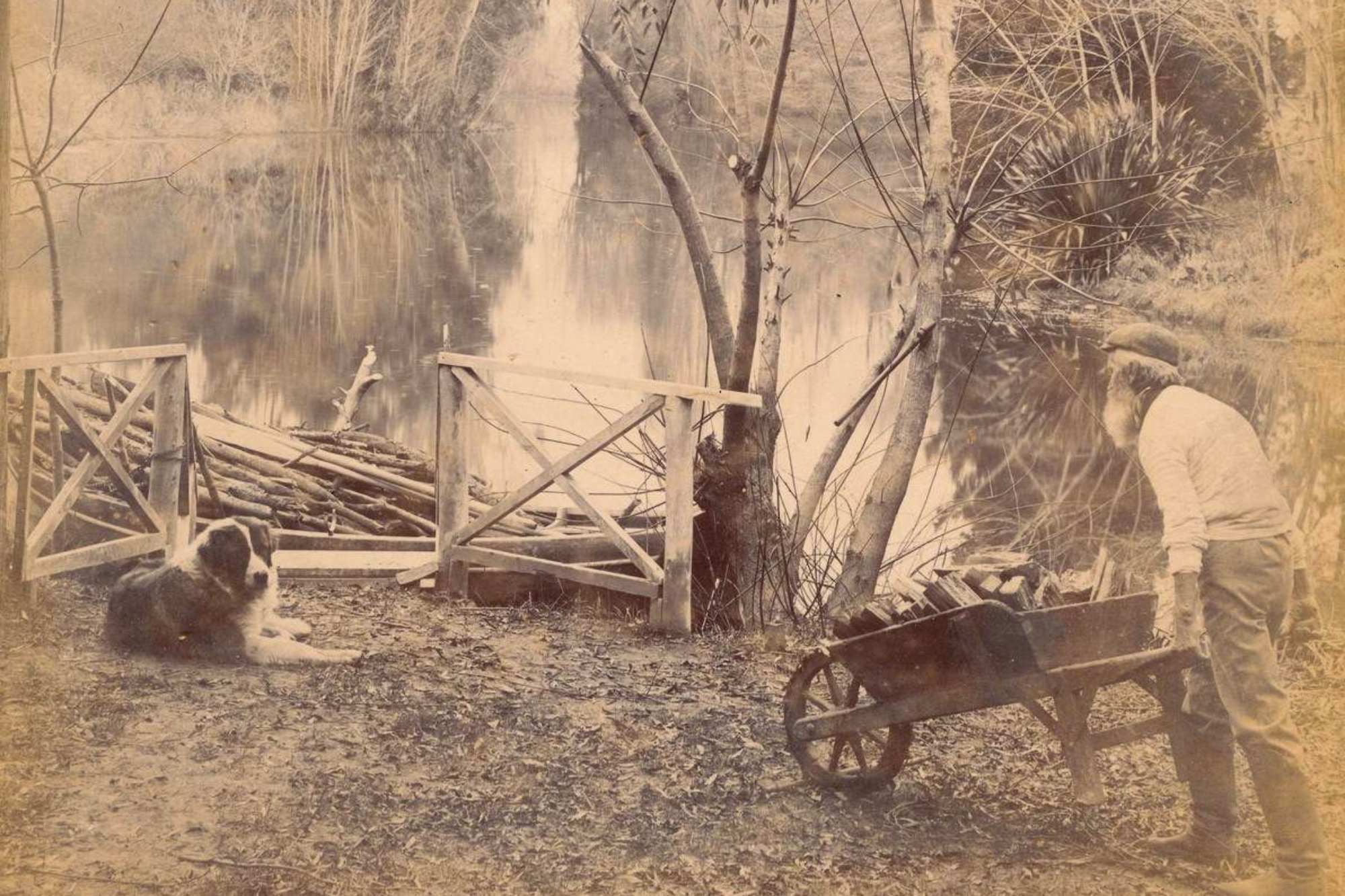 Cuando nuestros gauchos se hicieron jardineros y crearon bellos paisajes