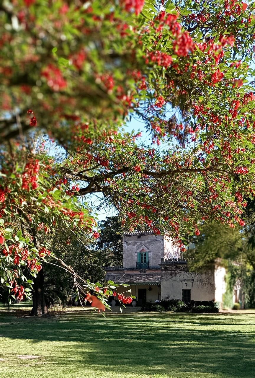El casco de la estancia
