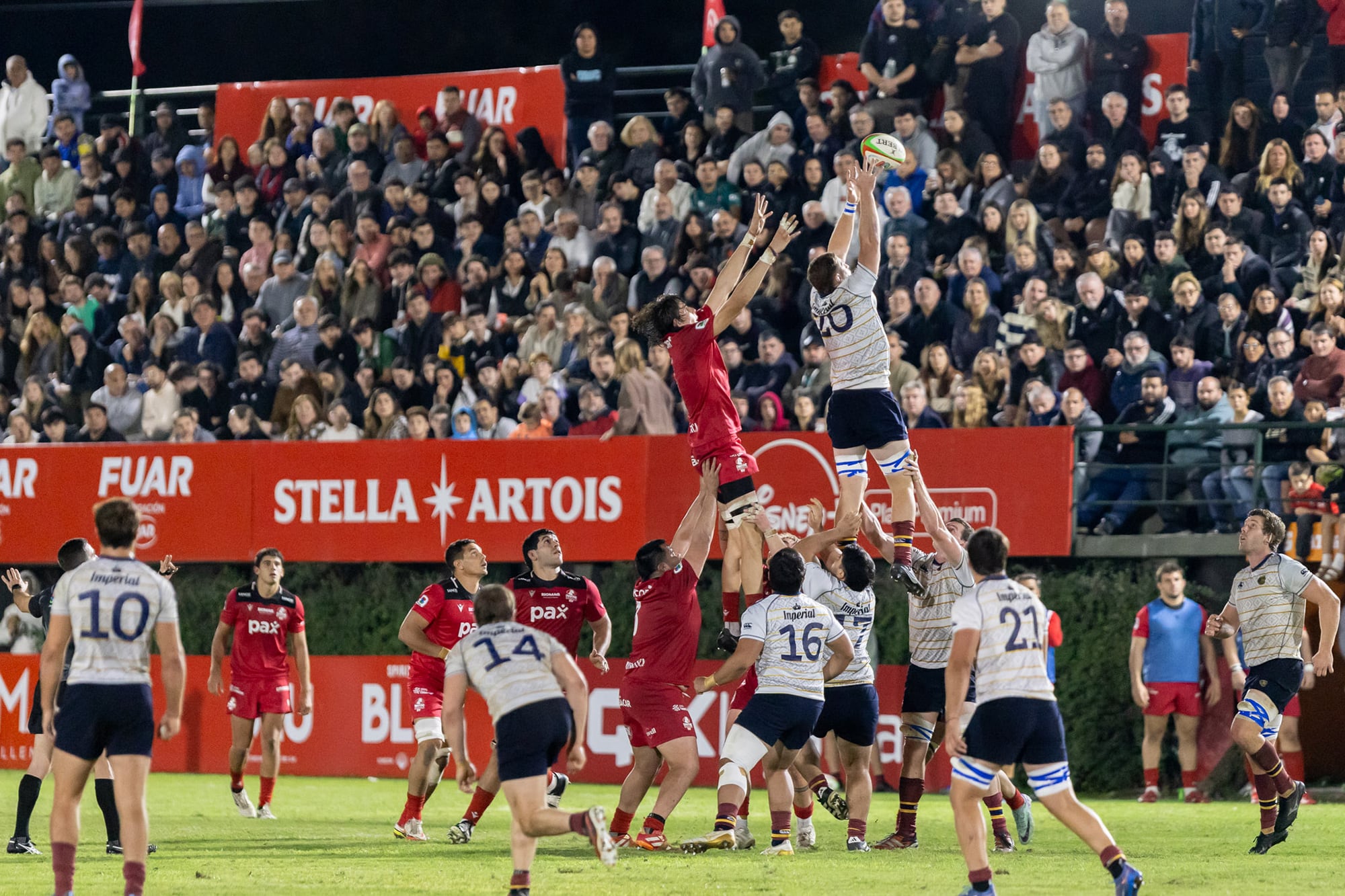 El Súper Rugby Américas ofrece semifinales "argentinas": Dogos XV vs. Tarucas y Pampas vs. Capibaras XV