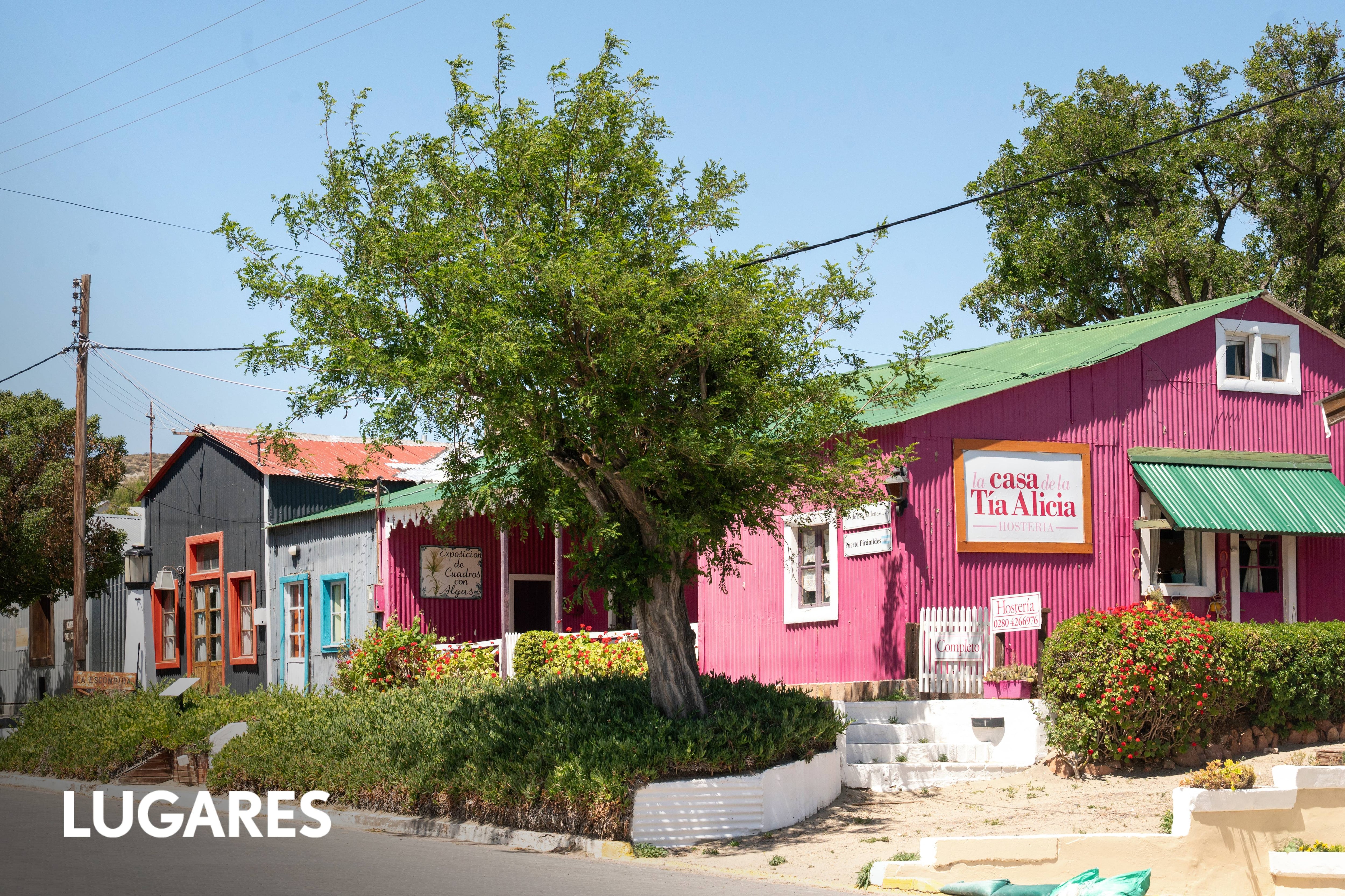 Patagonia: el pueblito frente al mar que surgió por los salitrales y convoca para ver ballenas