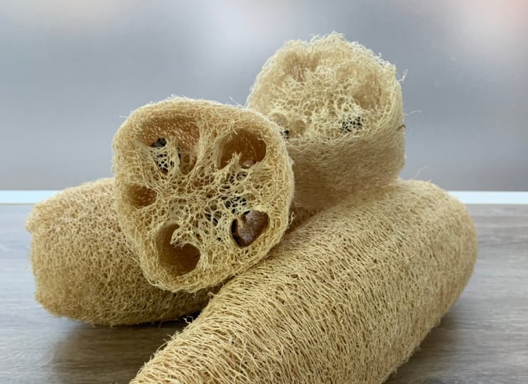 Las esponjas vegetales vienen ganando terreno (Foto: X)