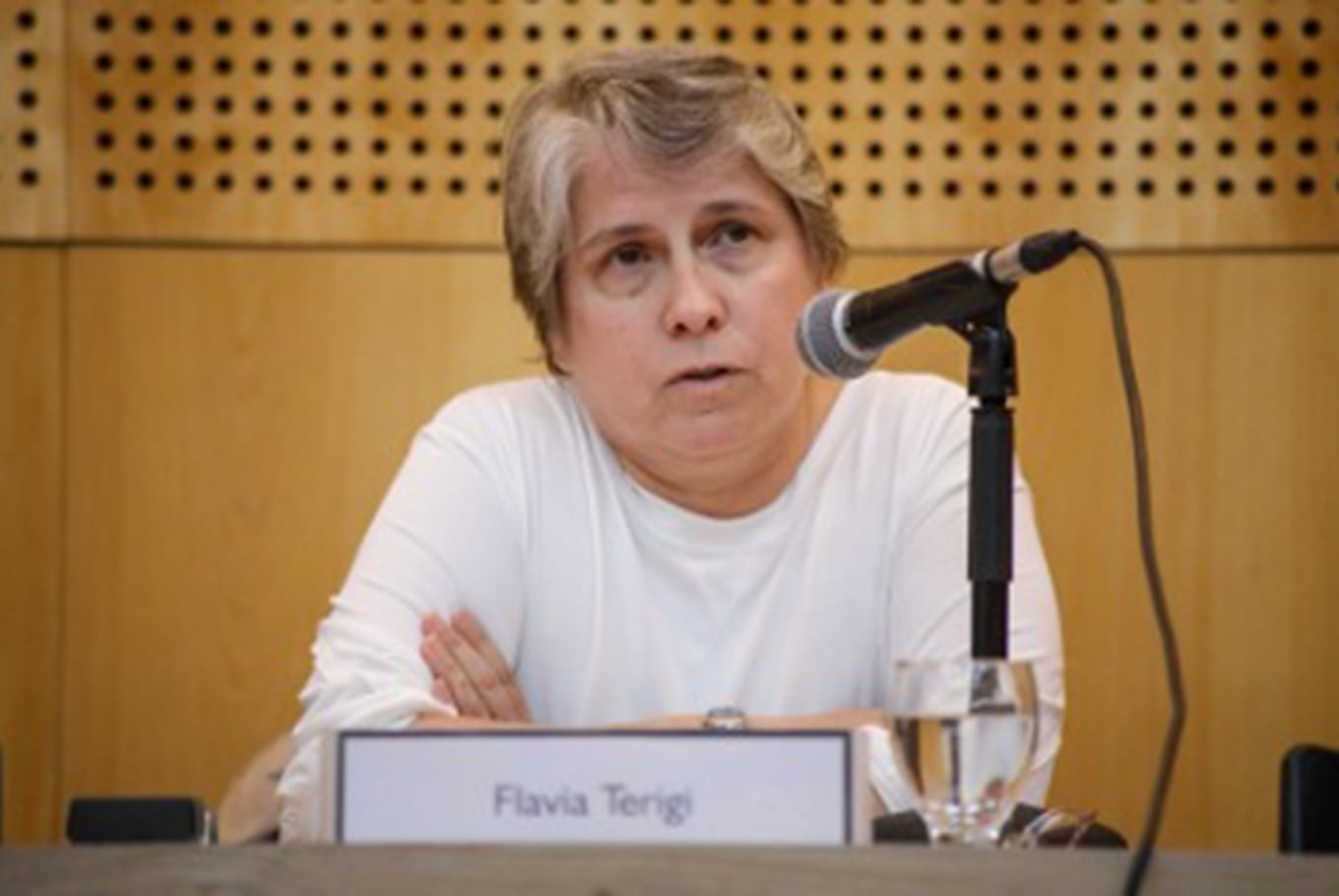 Flavia Terigi, la nueva responsable de educación en la provincia de Buenos Aires