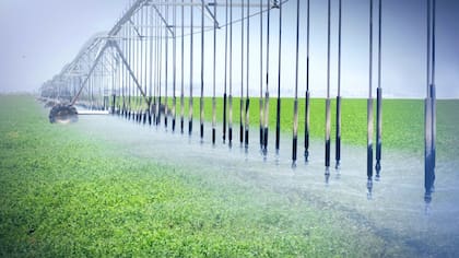 45 áreas para expandir el riego son analizadas a partir de las consultas que se hicieron a los gobiernos provinciales.