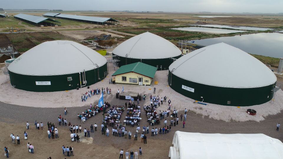 Cerca de Venado Tuerto la firma complementa el tambo y energía