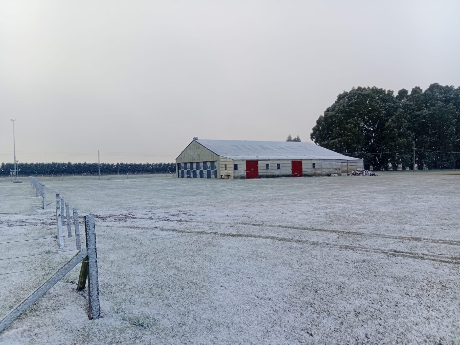 El nivel de nieve que cayó en algunas regiones de la provincia de Buenos Aires