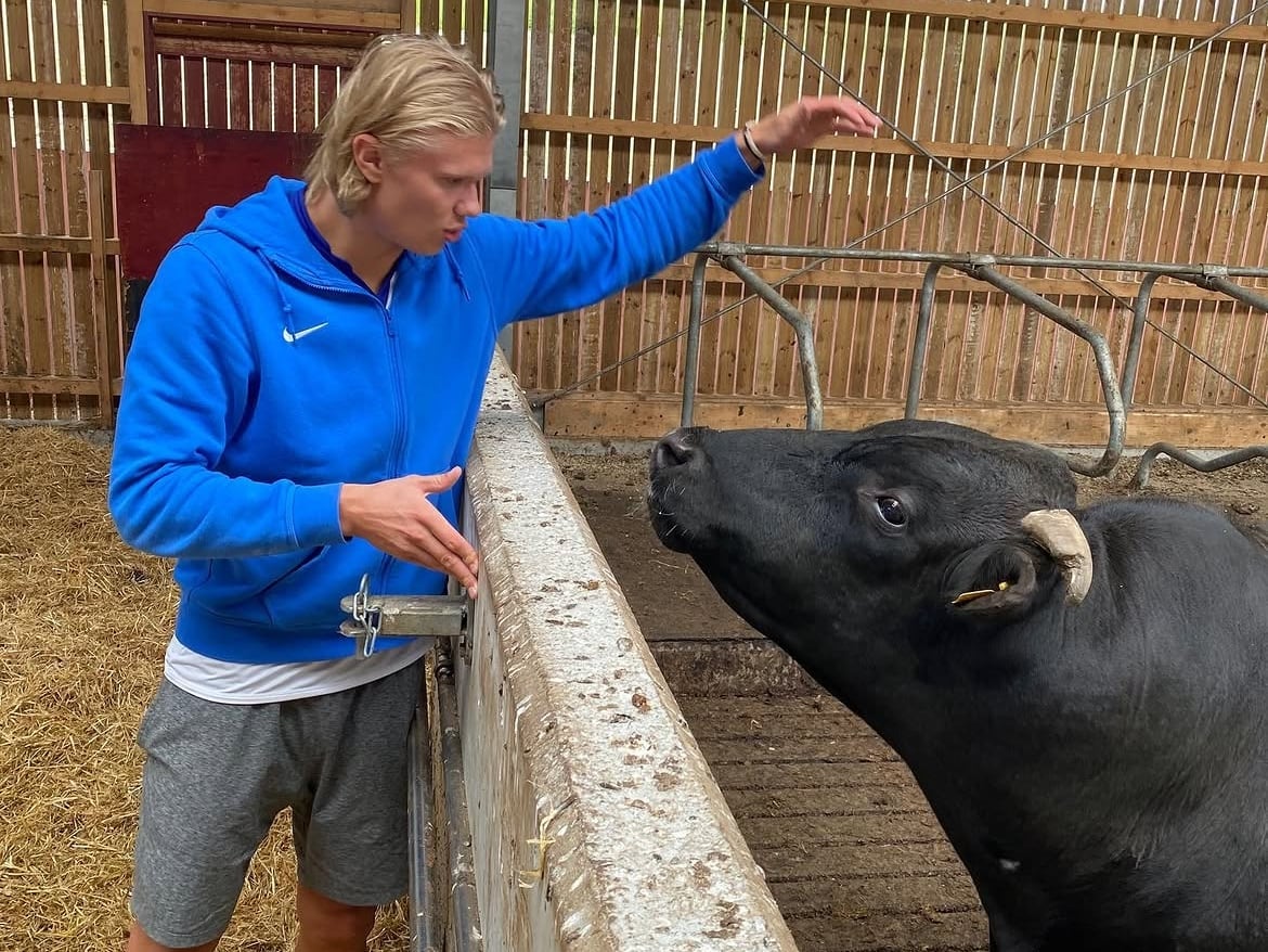 Haaland quiere ser “el mejor agricultor” de Noruega