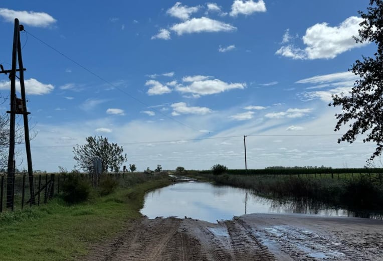 “Presentamos el pedido de acceso a la información pública y el municipio entregó tres cajas con las rendiciones de cuentas de 2023, 2024 y 2025. Y encontramos muchas inconsistencias”, sostuvo el abogado de los productores