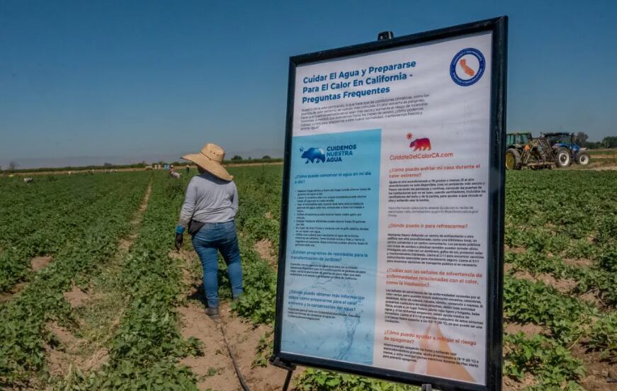 Las redadas no solo han expuesto la fragilidad del sistema agrícola, sino también la tensión entre las políticas migratorias y las necesidades económicas del país