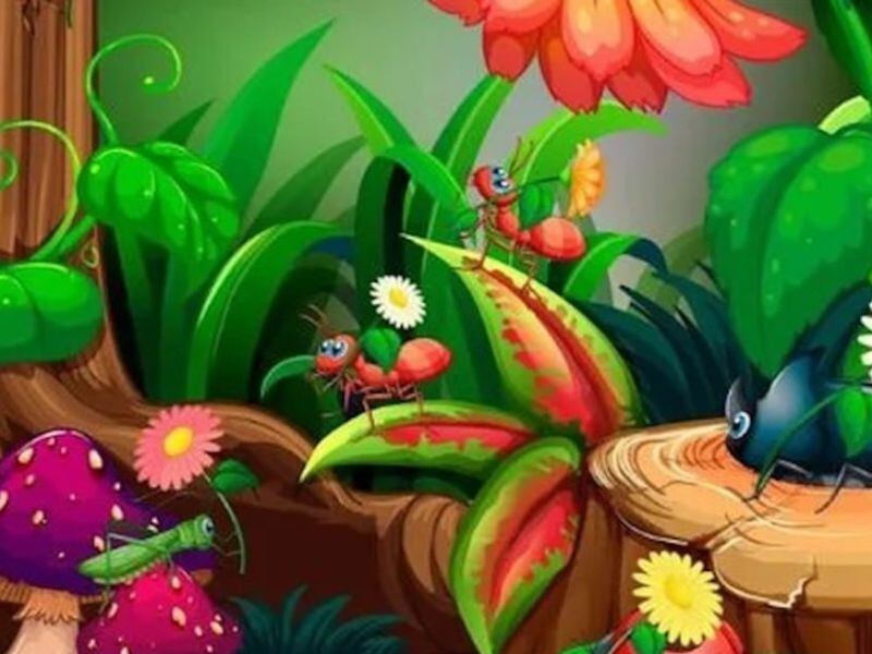 Desafío viral: encontrá las siete diferencias entre las plantas
