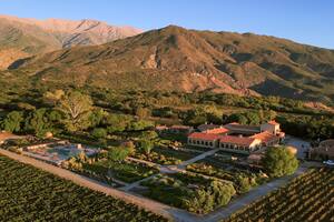 Un homenaje a la cepa 100% argentina