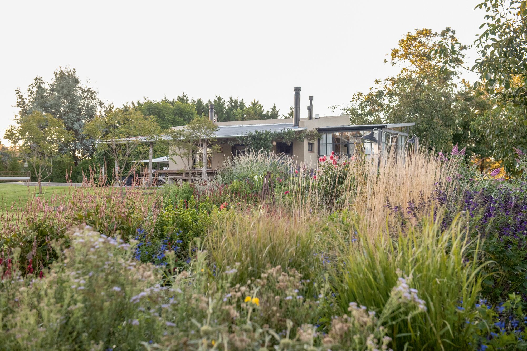 Primer plano del cantero con salvias, phlomis, dalias, calamagrostis, panicum, entre otras