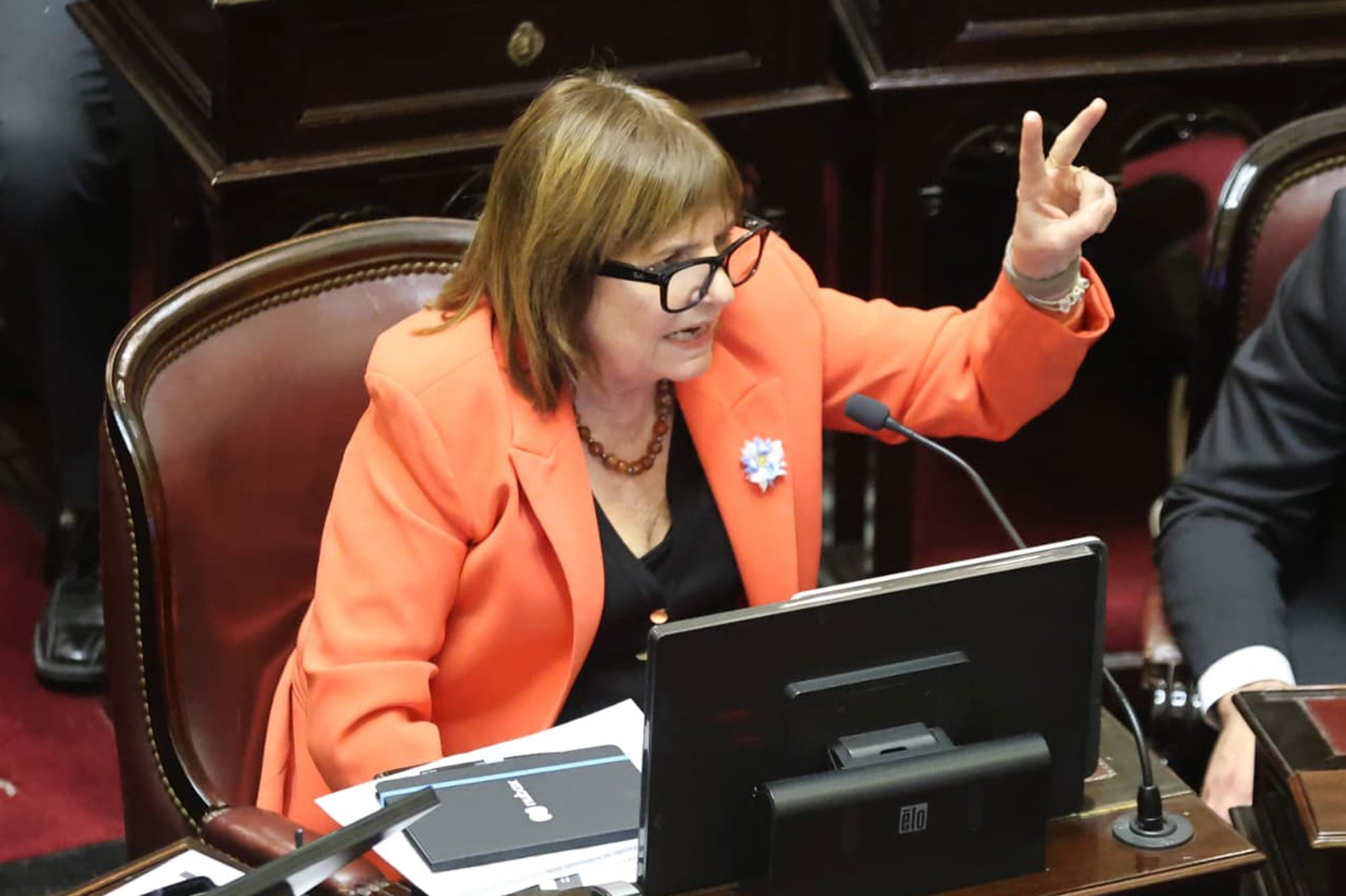 Senado: se aprobó el pliego de María Verónica Michelli, la candidata a jueza resistida por Milei por ser familiar de un periodista