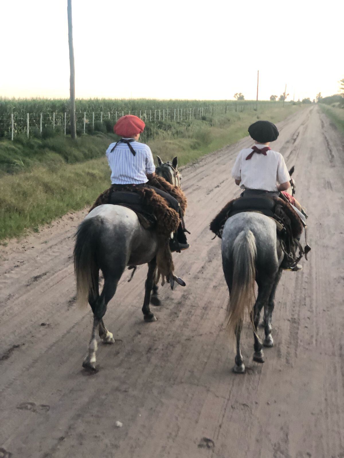 Según Ignacio, la vida de los mellizos son los animales y el campo