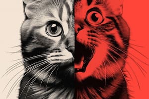 Cómo las imágenes absurdas creadas con IA están cambiando a las redes sociales y afectando a sus usuarios