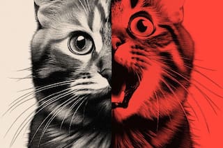 Cómo las imágenes absurdas creadas con IA están cambiando a las redes sociales y afectando a sus usuarios