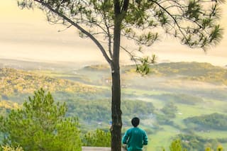 Antes que preguntar se trata de responder