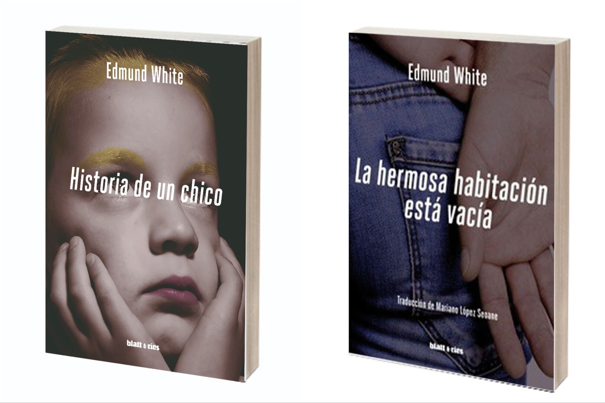 Clásicos de la literatura gay: