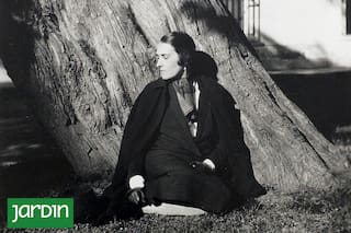 Las grandes escritoras que llevaron a las páginas su fascinación por la botánica