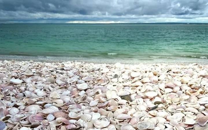 Conviene llevar un calzado cómodo para poder caminar sobre los caracoles y conchillas de la orilla