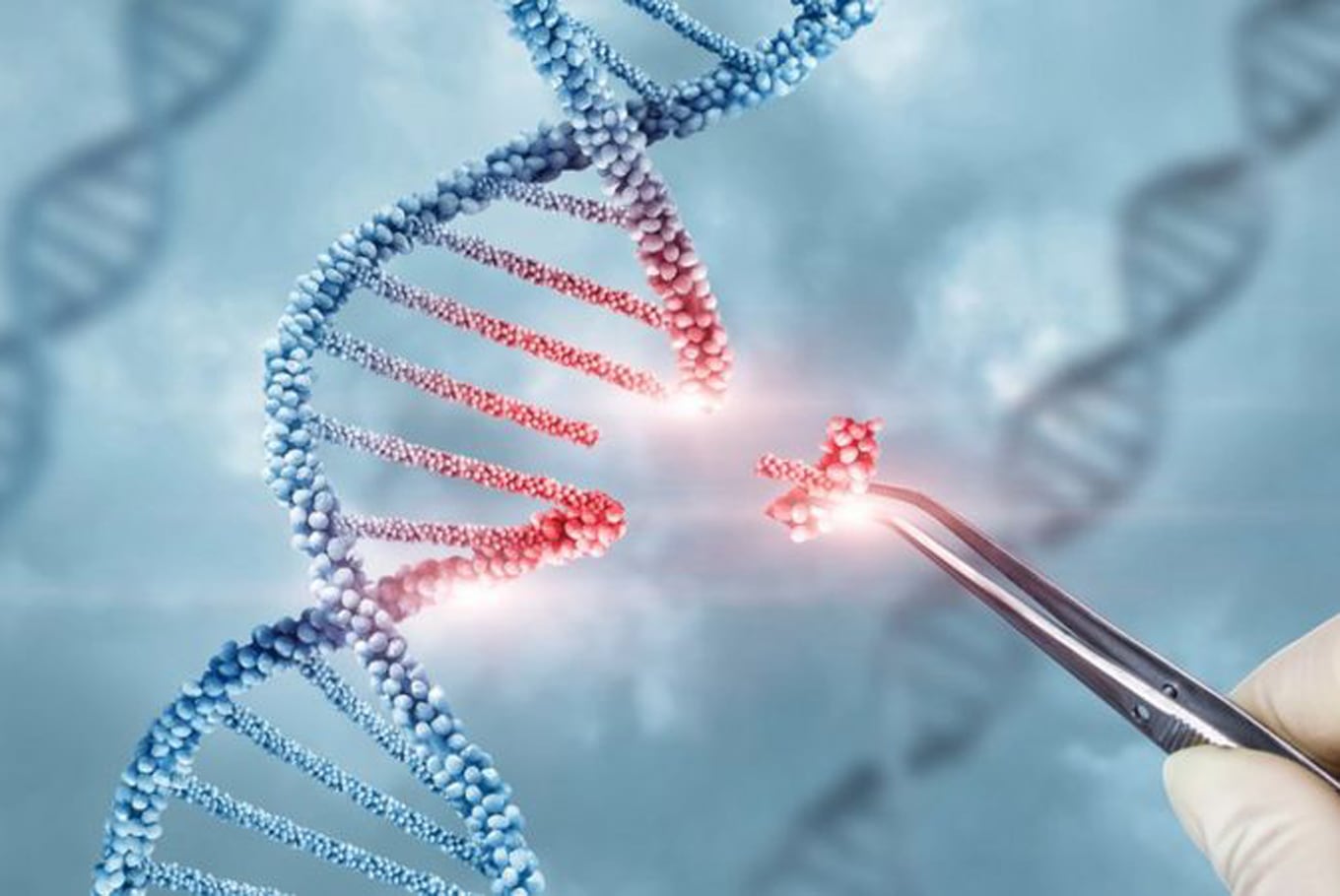 En la mayoría de los casos se trata de mutaciones aleatorias, errores en la copia del ADN que ocurren durante la replicación celular en una etapa de crecimiento