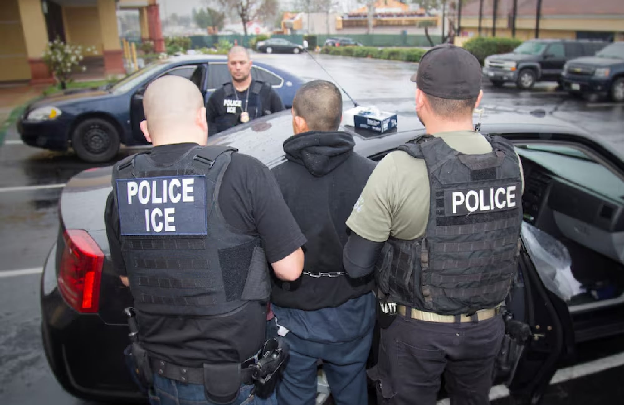 Refugios de animales en California advierten que los migrantes pueden elaborar un plan para sus animales
