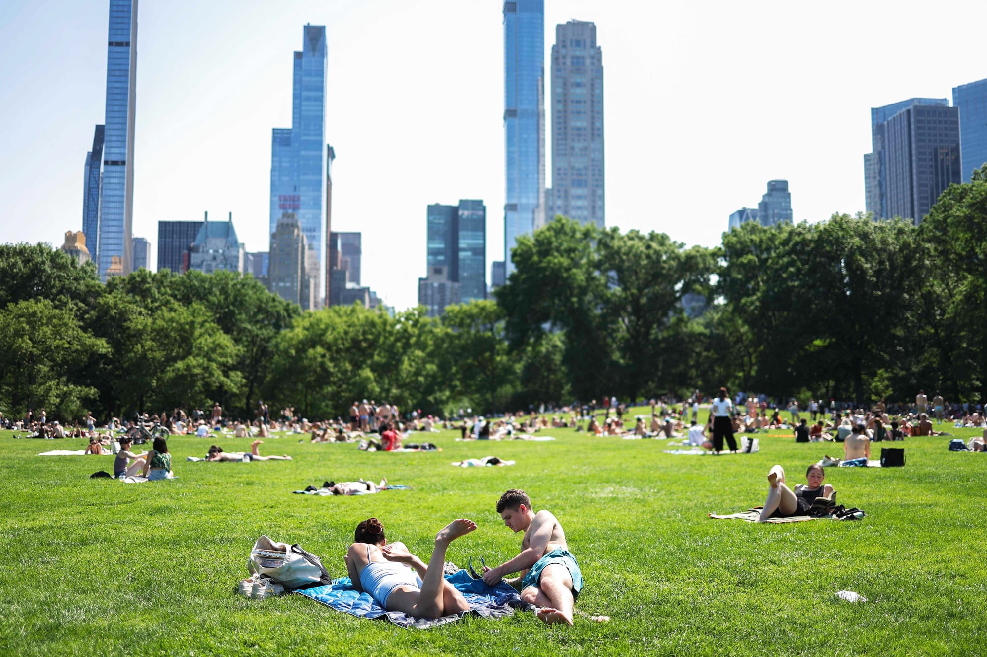 La gente toma el sol en Central Park durante el verano