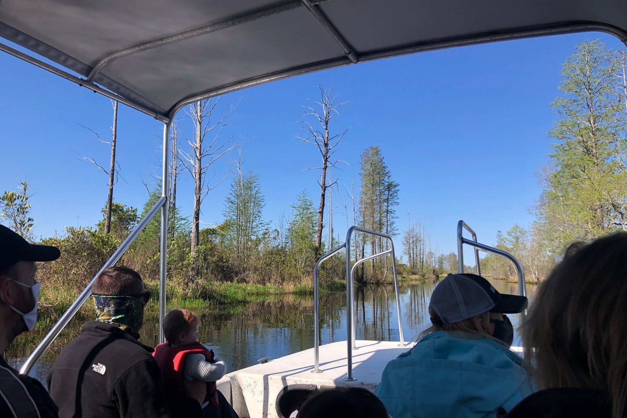 Oficial y confirmado: qué es el pantano Okefenokee, el nuevo Patrimonio Mundial de la Unesco en Georgia 6 El área protegida alberga cientos de especies