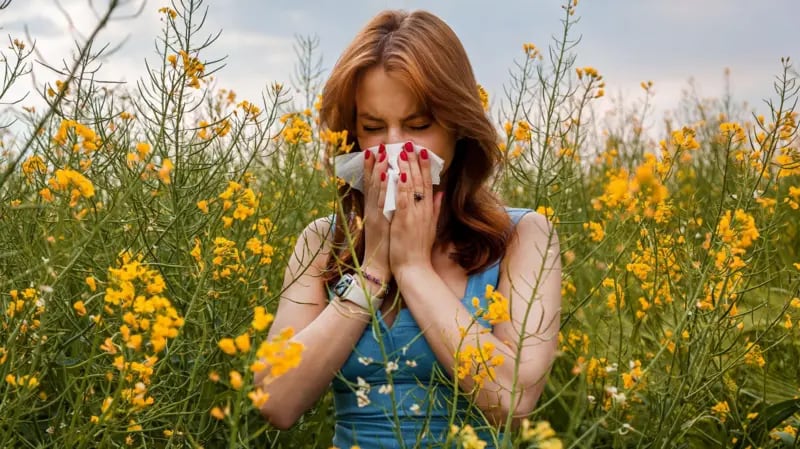 Alérgenos como el polen pueden causar inflamación grave de los tejidos nasales, y esto dificulta el funcionamiento adecuado del ciclo nasal