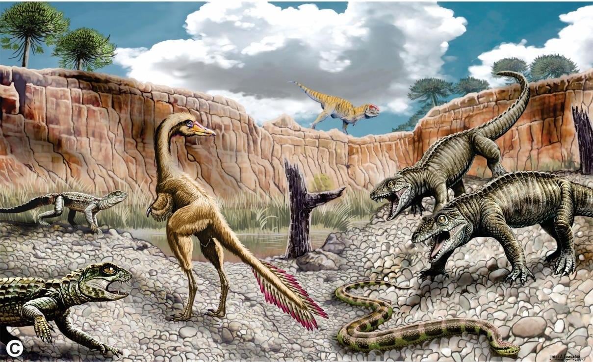 Un cocodrilo muy distinto a los actuales, pero en la Patagonia: el hallazgo de un fósil de 85 millones de años que sorprende