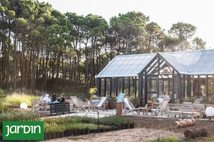 Cómo funciona el vivero que recupera el plan original de cuando plantaron pinos para fijar los médanos