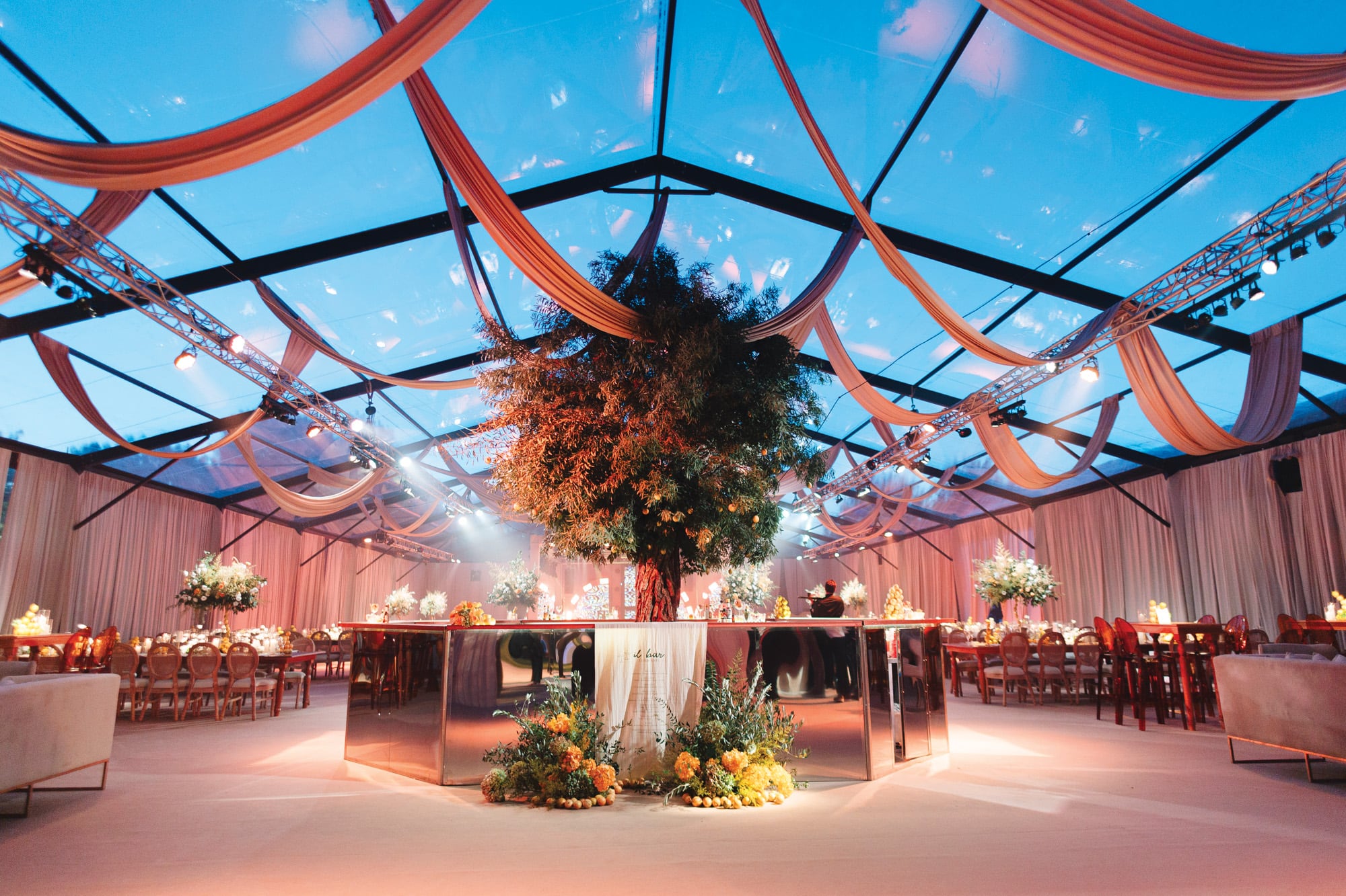 La carpa con techo vidriado y un árbol en el centro