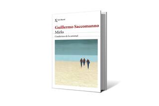 Reseña: Mirlo, de Guillermo Saccomano