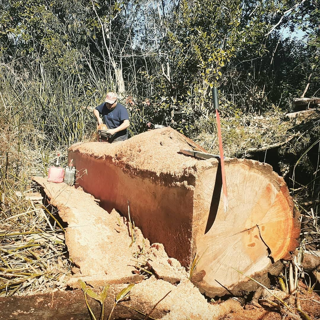 El trabajo también busca concientizar, plantando un árbol por cada uno que se utiliza (@barcoselva)