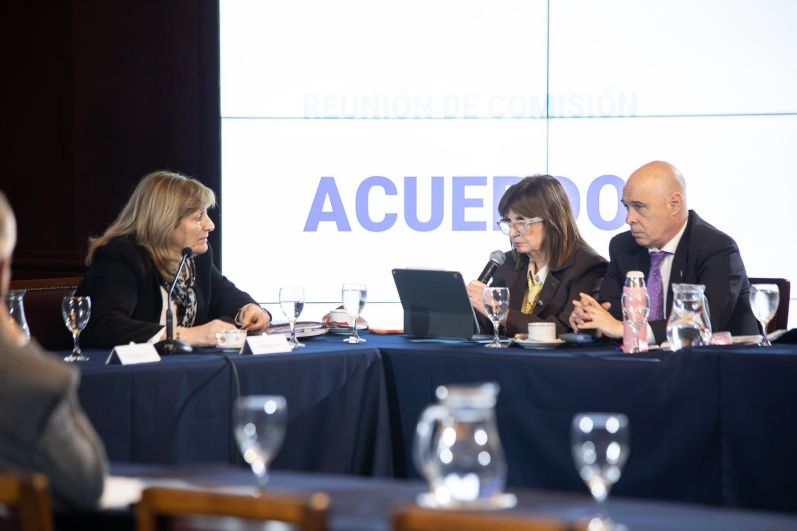 Bullrich, en la Comisión de Acuerdos del Senado